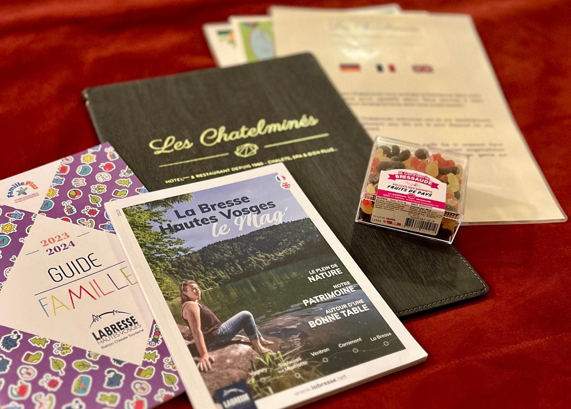 Logis Hotel, Chalets Et Restaurant Les Chatelmines Ла Брес Екстериор снимка
