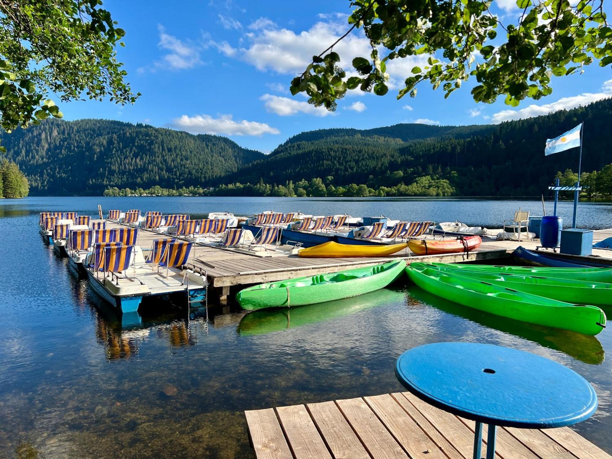 Logis Hotel, Chalets Et Restaurant Les Chatelmines Ла Брес Екстериор снимка