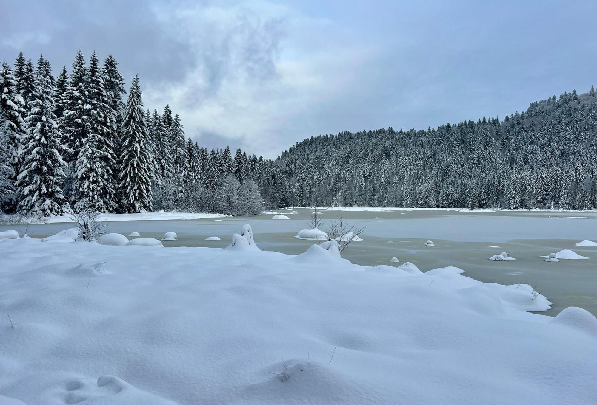 Logis Hotel, Chalets Et Restaurant Les Chatelmines Ла Брес Екстериор снимка